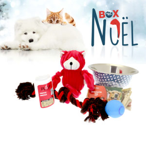 Coffret-cadeau-pour-chien-de-noel